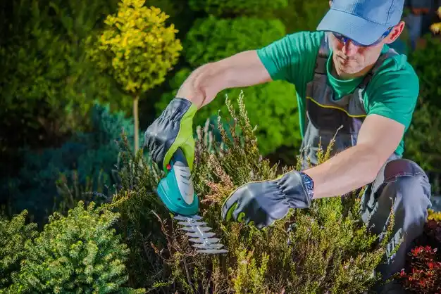 landscaping services New Lexington